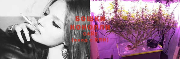 ГАЛЛЮЦИНОГЕННЫЕ ГРИБЫ Волосово