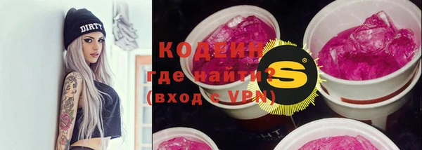 шишки Верея