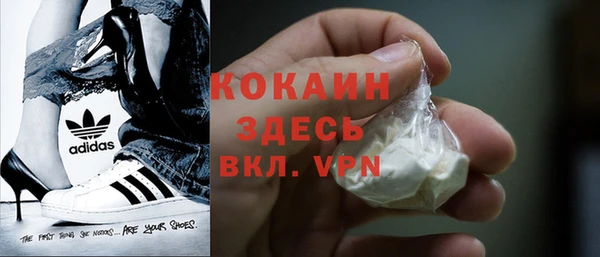 шишки Верея