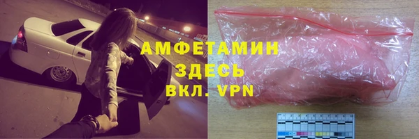 шишки Верея