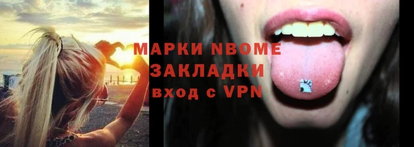 шишки Верея